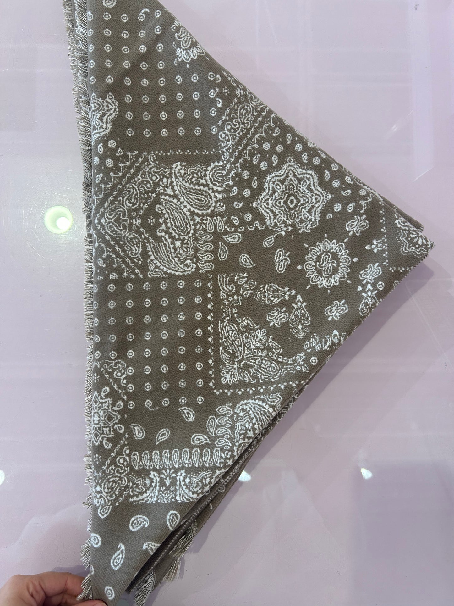 Paisley Taupe Scarf