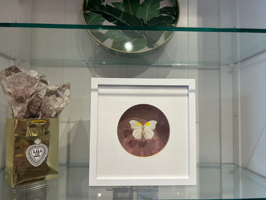 Butterfly Shadow Art Box by Bug in the Box - Pink Butterfly Composition