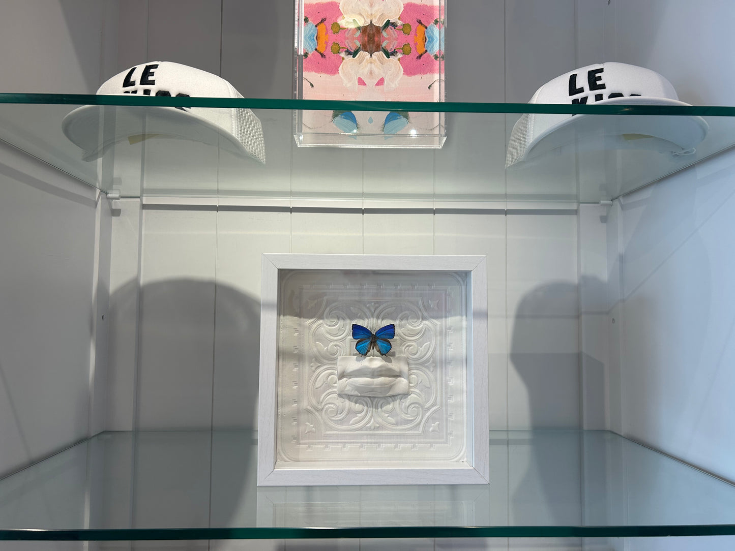 Butterfly Shadow Art Box by Bug in the Box - Butterfly Composition