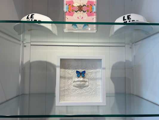 Butterfly Shadow Art Box by Bug in the Box - Butterfly Composition