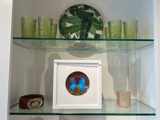 Butterfly Shadow Art Box by Bug in the Box - Giant Blue Morpho Butterfly