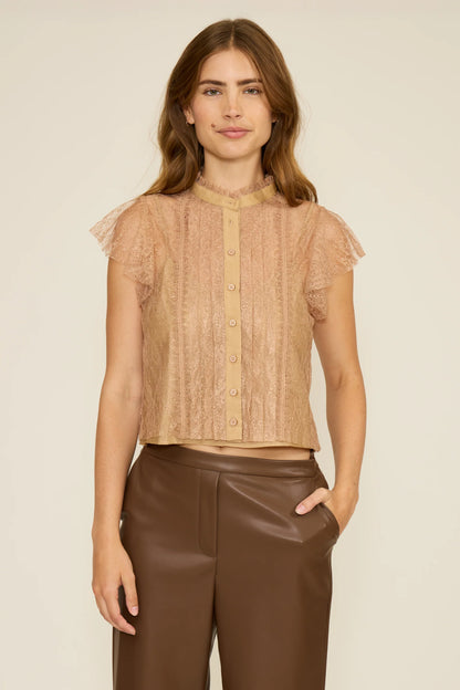 Dutchess Lace Top- Taupe