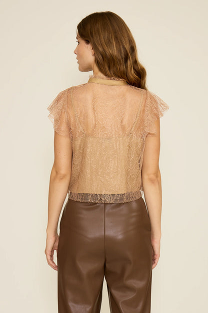 Dutchess Lace Top- Taupe