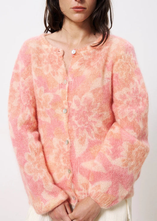 Calixta Cardi- Fleurs
