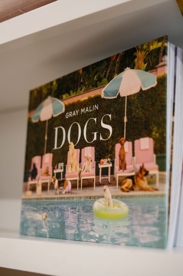 Gray Malin: Dogs: Photographs