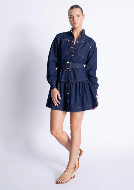 Saraswati Denim Dress